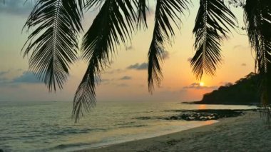 dalgalar deniz, palmiye ağaçları ve dramatik gökyüzü günbatımı görünümünü