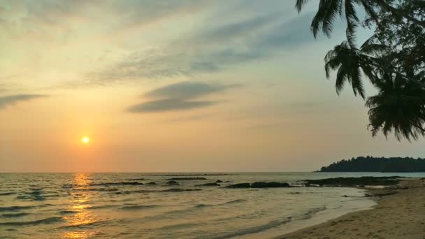 Vista Atardecer Olas Marinas Palmeras Cielo Dramático — Vídeo de stock