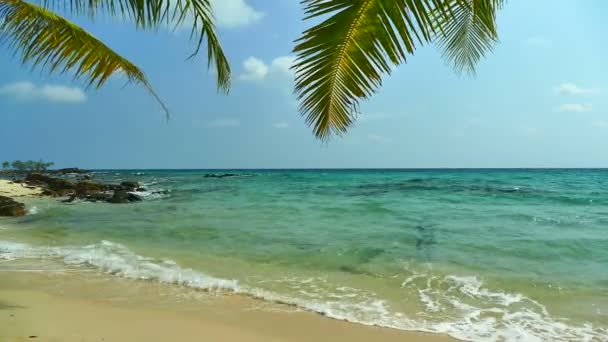 Praia Tropical Com Palmeiras Ondas Azuis Oceano — Vídeo de Stock
