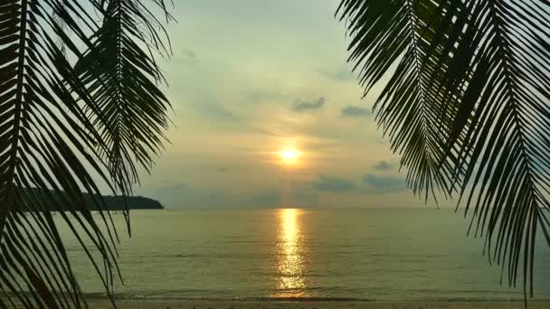 Zonsondergang Golven Van Zee Palmbomen Dramatische Hemel — Stockvideo