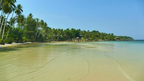 vue pittoresque sur le lagon avec palmiers sur la plage 