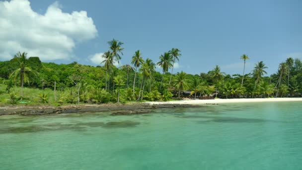 Tropisch Strand Met Palmbomen Blauwe Oceaan Golven — Stockvideo