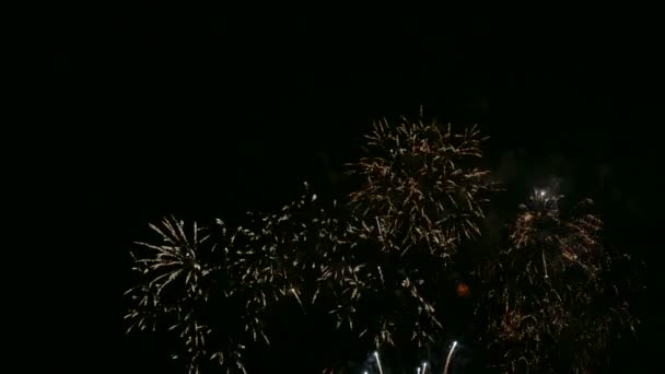 Βίντεο Των Πυροτεχνημάτων Που Λάμπει Στον Ουρανό Νύχτας Drak — Αρχείο Βίντεο