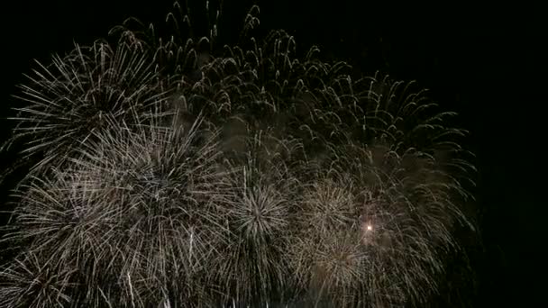 Video Van Vuurwerk Gloeien Drak Nachtelijke Hemel — Stockvideo