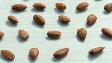 desen badem beyaz arka planda, video 