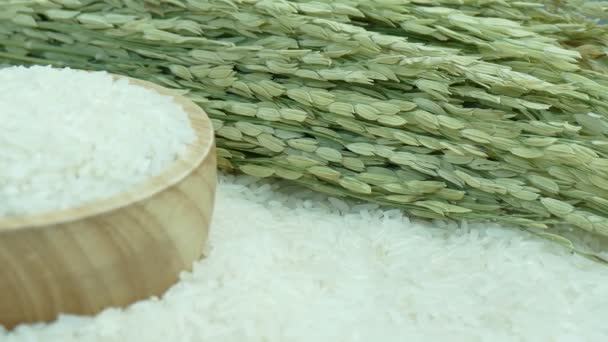 Roher Reis Holzschale Video — Stockvideo