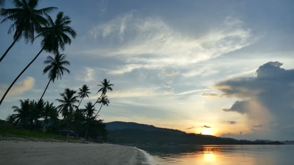 Splendida Vista Sul Mare Palme Drammatico Cielo Tramonto — Video Stock