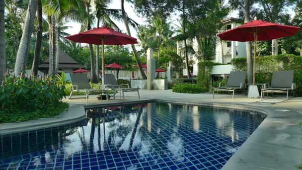 vue sur piscine, parasols et végétation tropicale luxuriante  