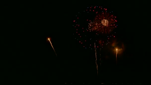 Video Fuegos Artificiales Brillando Cielo Oscuro Noche — Vídeos de Stock