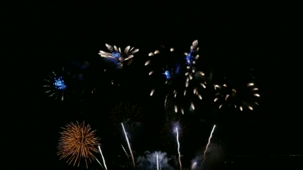 Video Von Feuerwerk Das Dunklen Nachthimmel Glüht — Stockvideo