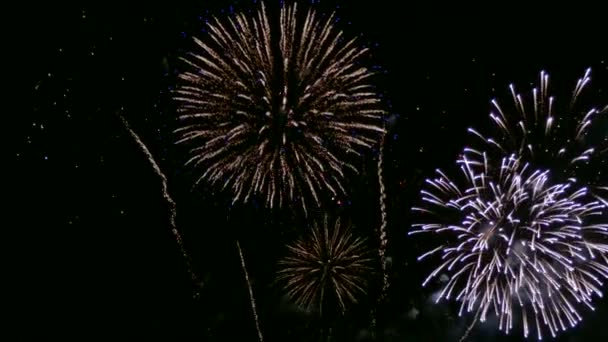 Vidéo Feux Artifice Lumineux Dans Ciel Nocturne Sombre — Video