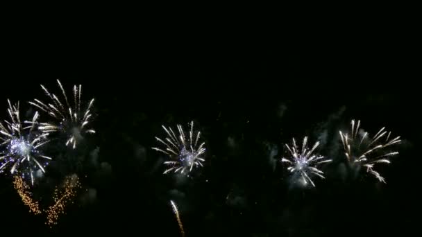 Video Fuochi Artificio Che Brillano Nel Cielo Notturno Buio — Video Stock