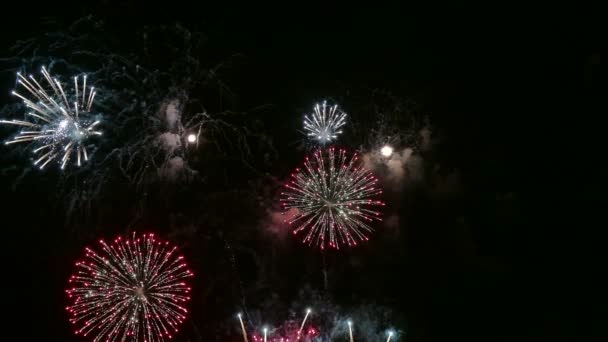 Video Fireworks Glowing Dark Night Sky — Stock Video