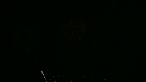 Vidéo 4k de feux d'artifice lumineux dans le ciel nocturne sombre 