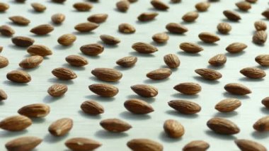 desen badem beyaz arka planda, video 