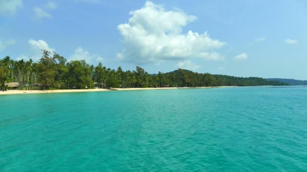 plage tropicale avec palmiers et vagues bleu océan 