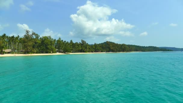 Tropikalnej Plaży Palmami Fale Niebieski Ocean — Wideo stockowe