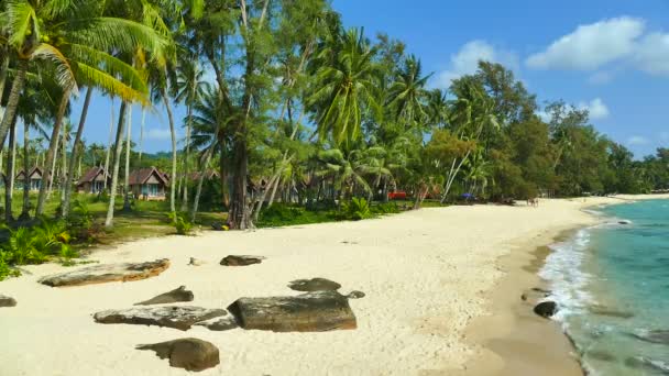 Tropikalnej Plaży Palmami Fale Niebieski Ocean — Wideo stockowe