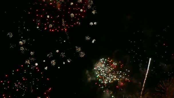 Vidéo 4k de feux d'artifice lumineux dans le ciel nocturne sombre 