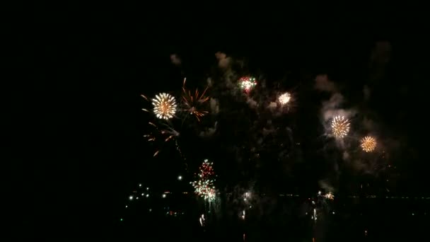 Video Fuegos Artificiales Brillando Cielo Oscuro Noche — Vídeo de stock