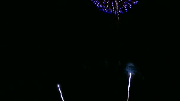 Vídeo Fogos Artifício Brilhando Céu Escuro Noite — Vídeo de Stock
