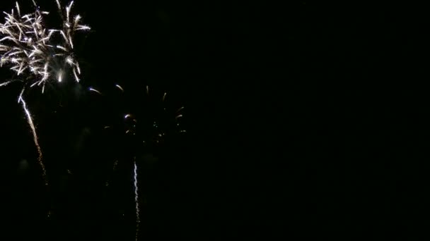 Video Fuegos Artificiales Brillando Cielo Oscuro Noche — Vídeos de Stock