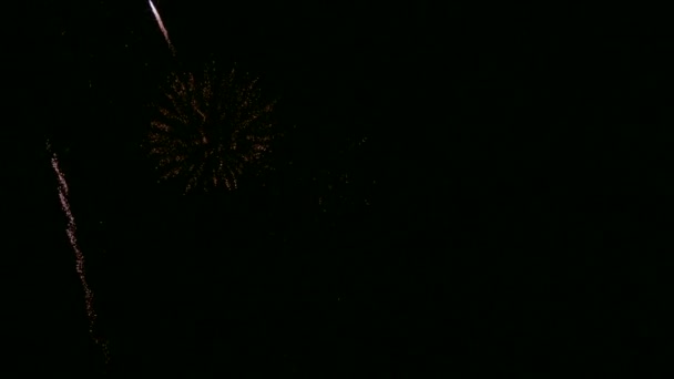 Video Von Feuerwerk Das Dunklen Nachthimmel Glüht — Stockvideo