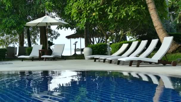 Vue Sur Piscine Parasols Palmiers Ciel Bleu — Video