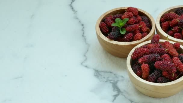Färsk Mulberry Små Trä Skålar — Stockvideo