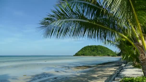 Pintoresco Puerto Deportivo Con Olas Marinas Playa Tropical Cielo Azul — Vídeos de Stock