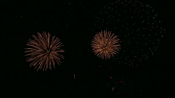 Video Von Feuerwerk Das Dunklen Nachthimmel Glüht — Stockvideo