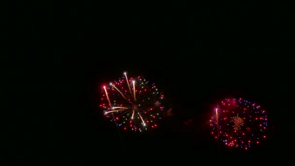 Video Fuegos Artificiales Brillando Cielo Oscuro Noche — Vídeo de stock