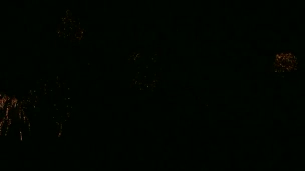 Video Fuegos Artificiales Brillando Cielo Oscuro Noche — Vídeos de Stock