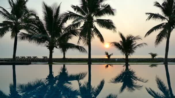 Palmiye Ağaçları Ile Yüzme Havuzunun Gün Batımı Görünümü — Stok video