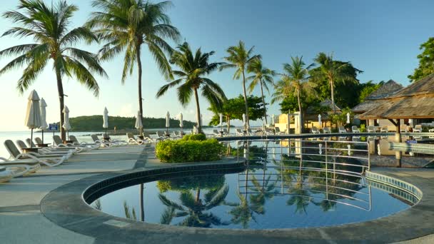 vue sur piscine, parasols, palmiers et ciel bleu 