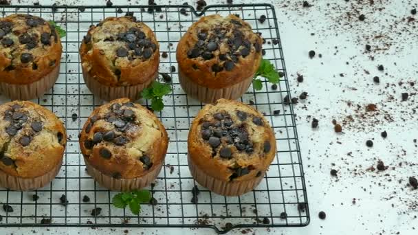 Leckere Hausgemachte Muffins Mit Schokoladentropfen Auf Metallgitter — Stockvideo