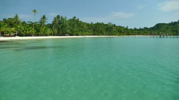 plage tropicale avec palmiers et vagues bleu océan 