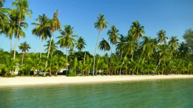 palmiye ağaçları ve mavi okyanus dalgaları ile tropikal plaj