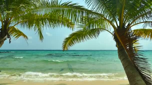 Malebný Přístav Mořskými Vlnami Písečnou Pláží Modrou Oblohou — Stock video