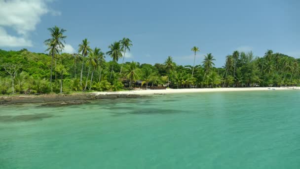 plage tropicale avec palmiers et vagues bleu océan 
