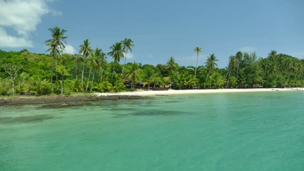 Tropisch Strand Met Palmbomen Blauwe Oceaan Golven — Stockvideo