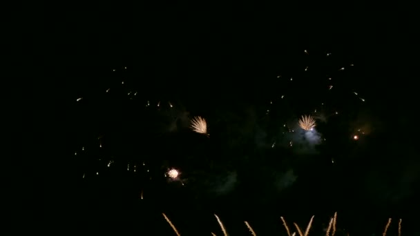 Video Fuegos Artificiales Brillando Cielo Oscuro Noche — Vídeos de Stock