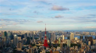 karanlık gece gökyüzünde parlayan havai fişek 4 k video