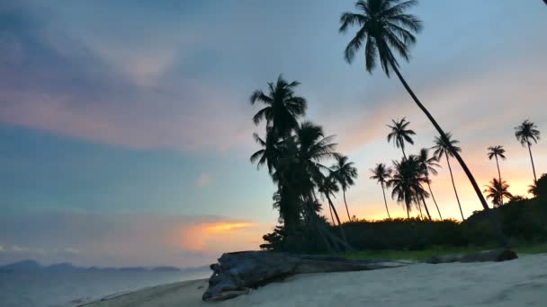 Vista Atardecer Olas Marinas Palmeras Cielo Dramático — Vídeos de Stock