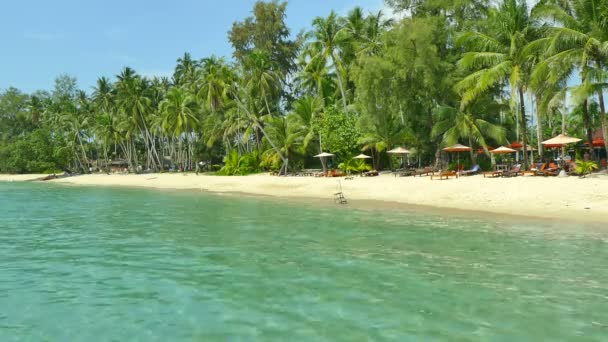 Tropical Beach Palm Trees Blue Ocean Waves — Stock Video