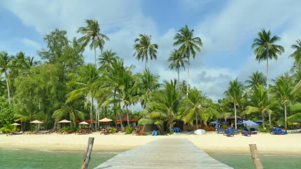 热带海滩与棕榈树和木码头 — 图库视频影像