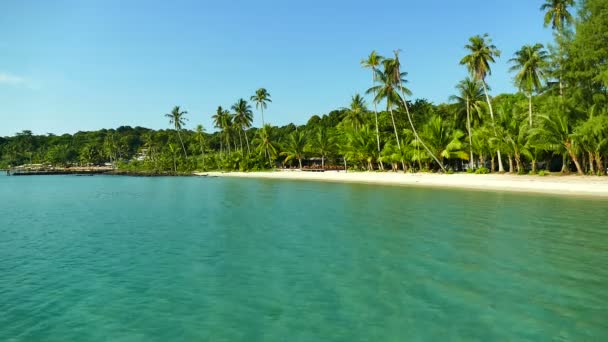 Tropischer Strand Mit Palmen Und Blauen Meereswellen — Stockvideo