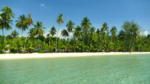 热带海滩与棕榈树和蓝色海浪 — 图库视频影像