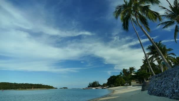 Tropischer Strand Mit Palmen Und Blauen Meereswellen — Stockvideo