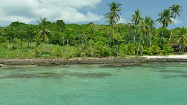 Trópusi Tengerpart Pálmafákkal Kék Óceán Hullámai — Stock videók
